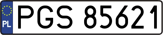 PGS85621