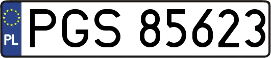 PGS85623