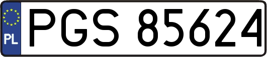 PGS85624