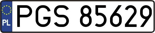 PGS85629