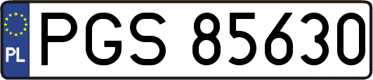 PGS85630