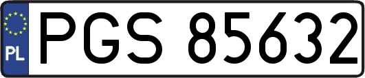 PGS85632