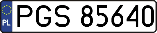 PGS85640