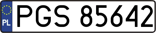 PGS85642