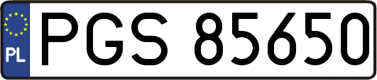 PGS85650