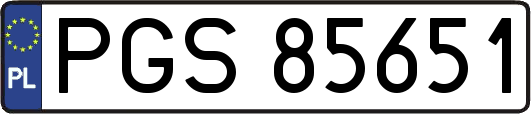 PGS85651