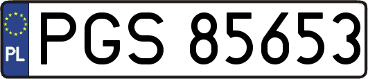 PGS85653
