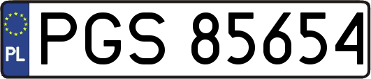 PGS85654