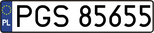 PGS85655