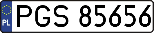 PGS85656