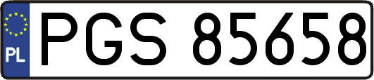 PGS85658