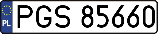 PGS85660