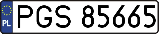 PGS85665