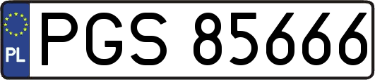 PGS85666
