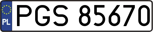 PGS85670