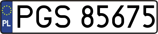 PGS85675