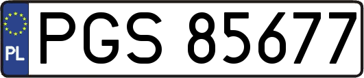 PGS85677