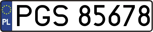 PGS85678