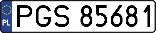 PGS85681