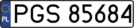 PGS85684