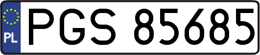 PGS85685