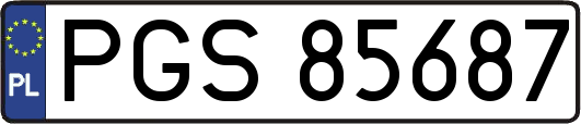 PGS85687