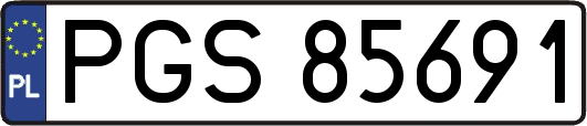 PGS85691