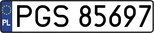 PGS85697