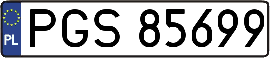 PGS85699