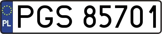 PGS85701