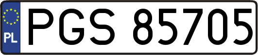 PGS85705