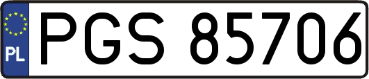 PGS85706