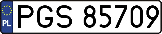 PGS85709