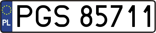PGS85711