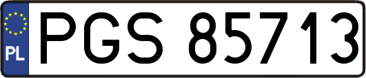 PGS85713