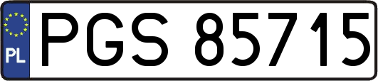 PGS85715
