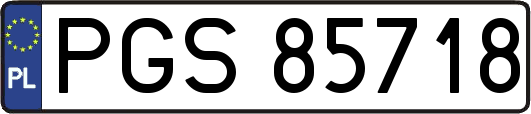 PGS85718