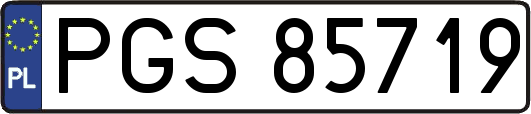 PGS85719