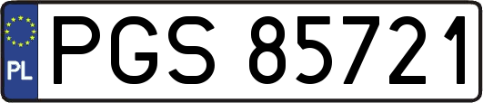 PGS85721