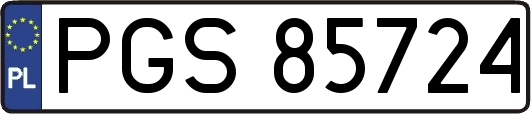 PGS85724