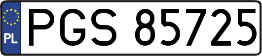 PGS85725