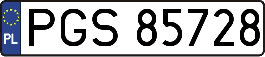 PGS85728