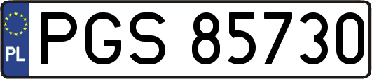 PGS85730