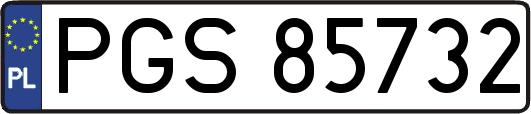PGS85732