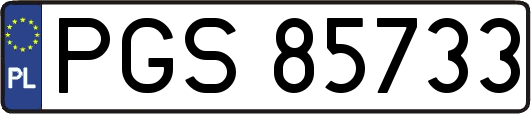 PGS85733