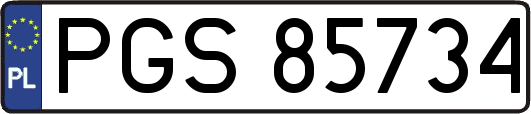 PGS85734