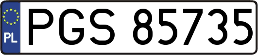 PGS85735