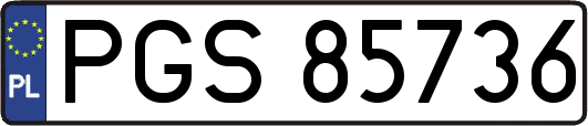 PGS85736