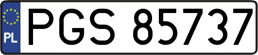 PGS85737