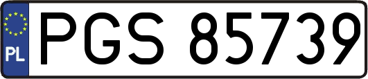 PGS85739